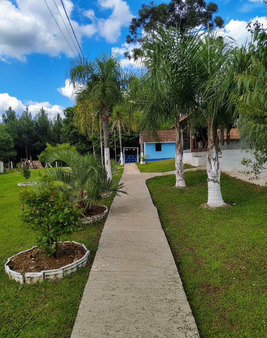 Foto 8 da CT Masculina