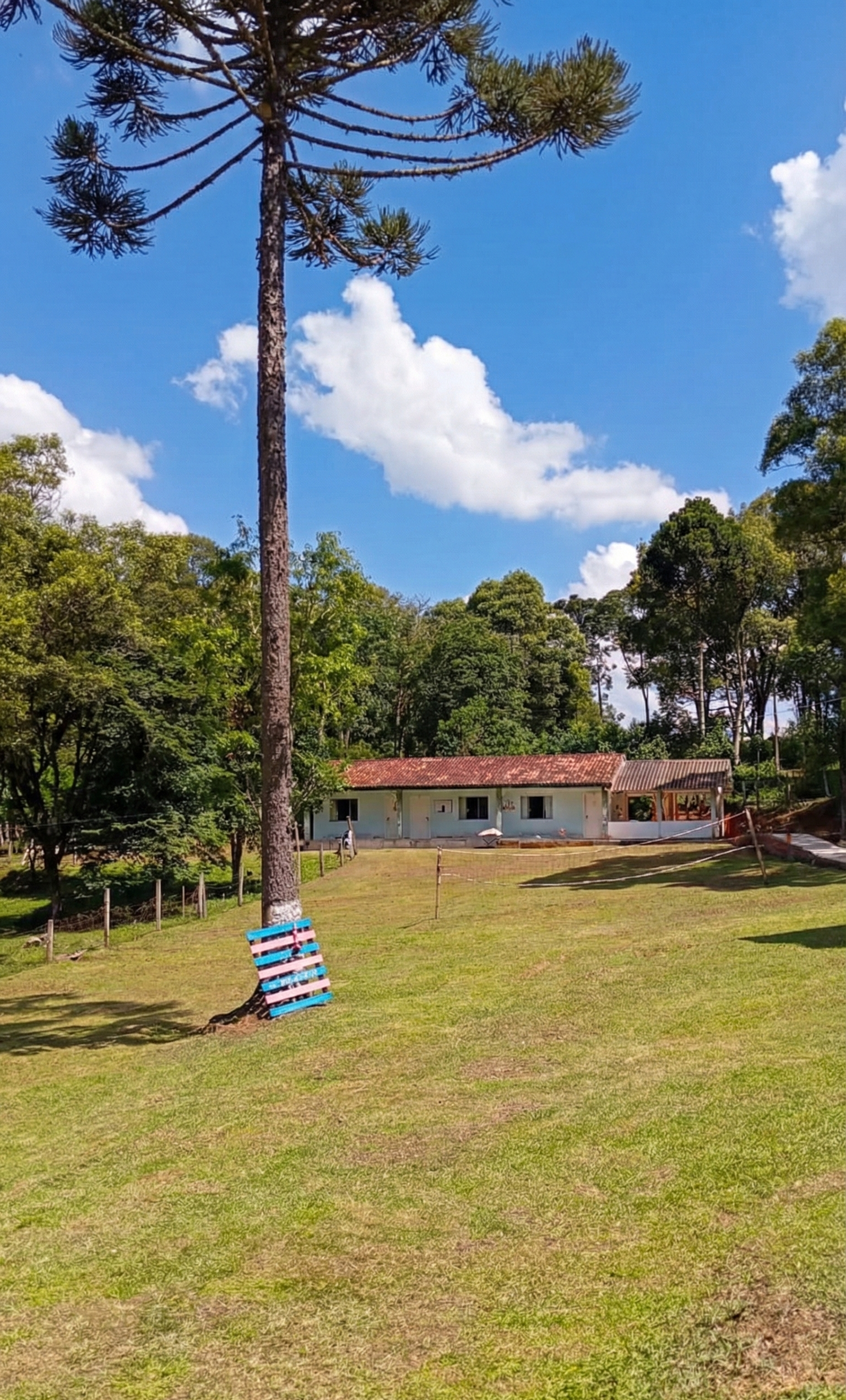 Foto 9 da CT Masculina