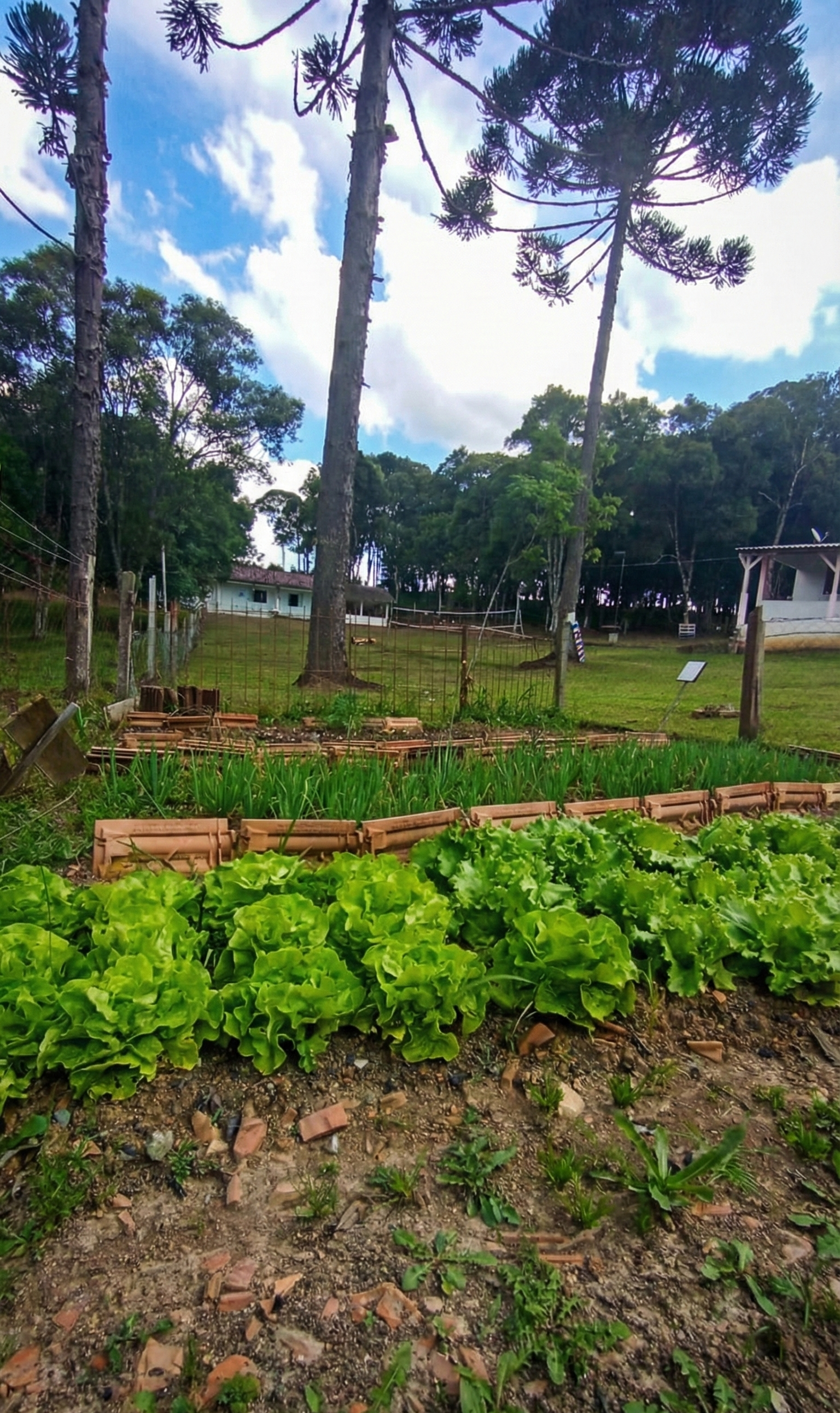 Foto 10 da CT Masculina