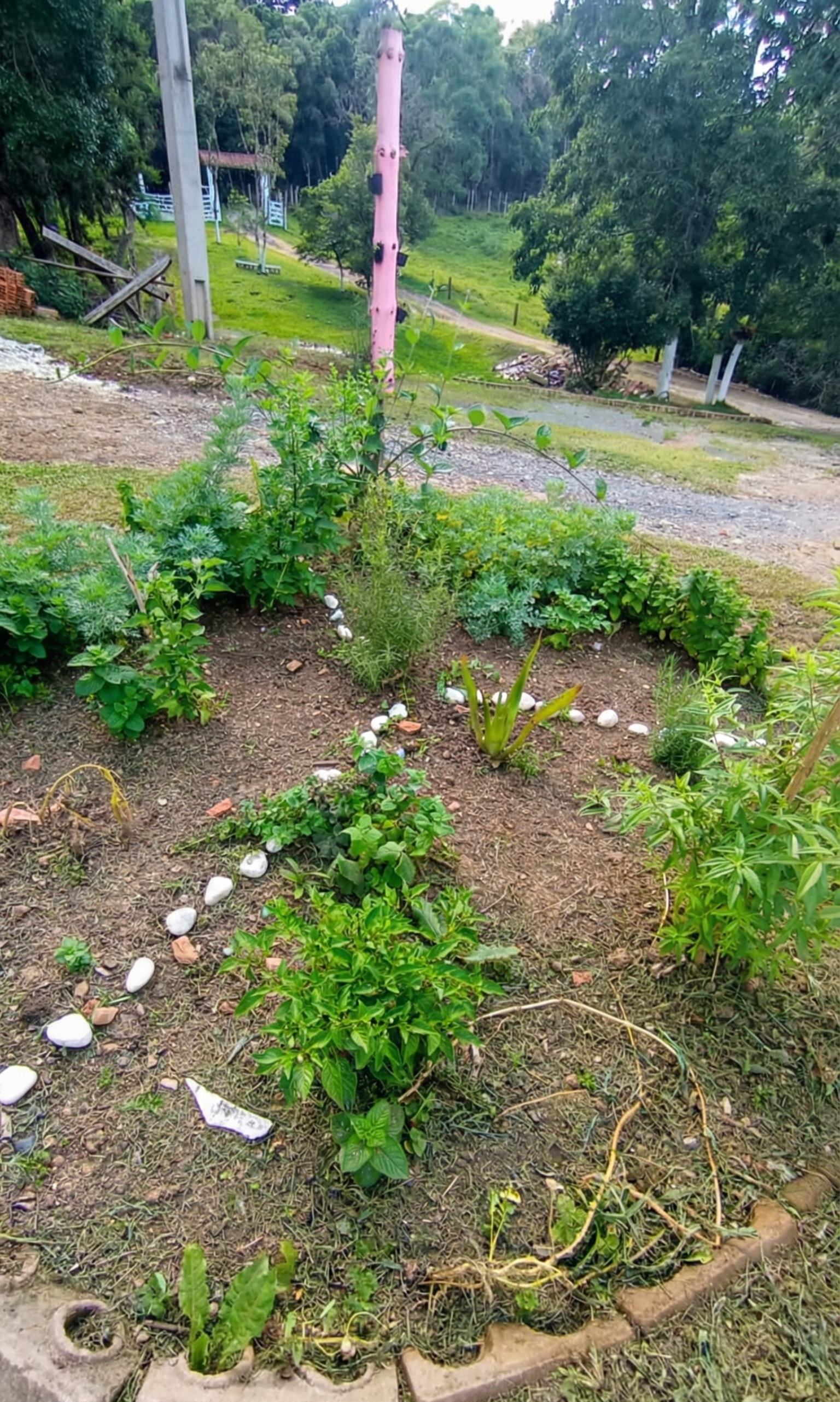 Foto 10 da CT Masculina